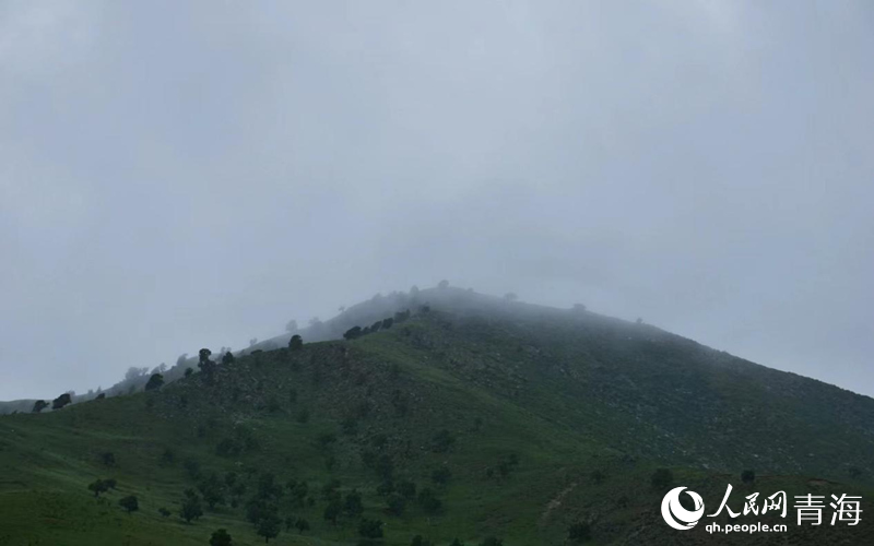 雨后的柏樹山。人民網(wǎng) 況玉攝