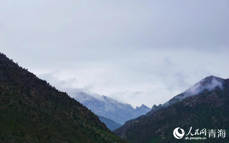 雨后的柏樹山。人民網(wǎng) 況玉攝