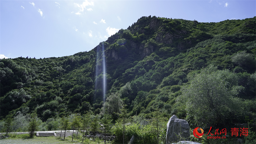 察汗河國(guó)家森林公園。人民網(wǎng) 陳明菊攝