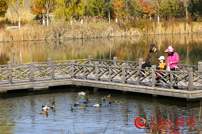 西寧市民在湟水濕地公園。人民網(wǎng)記者 甘海瓊攝