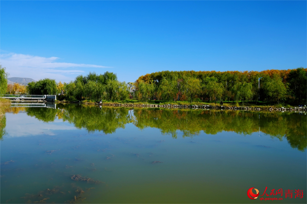 三河濕地公園秋韻濃。人民網(wǎng) 陳明菊攝