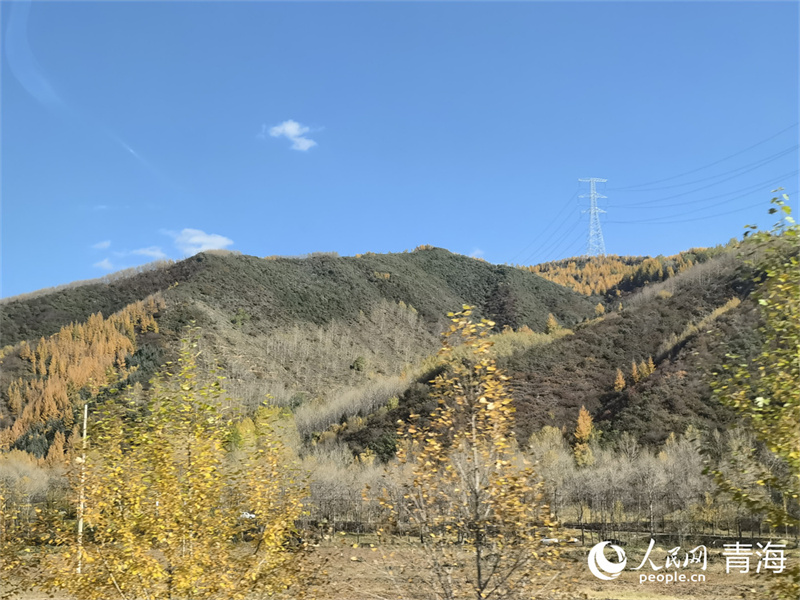 大通縣東峽鎮(zhèn)的絢爛秋景。人民網(wǎng) 馬可欣攝